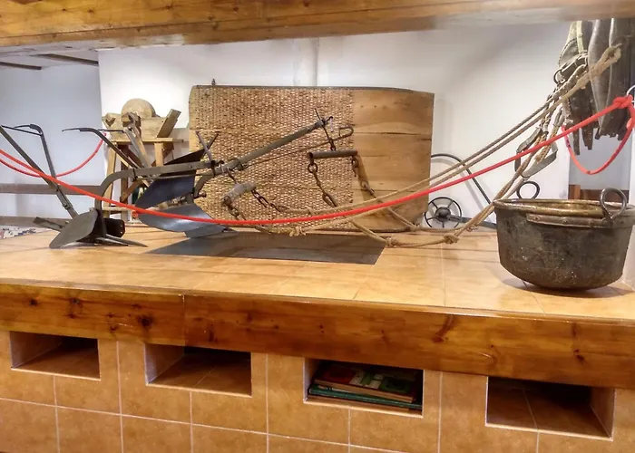 Fausto Cerca De Dinópolis Formiche Alto