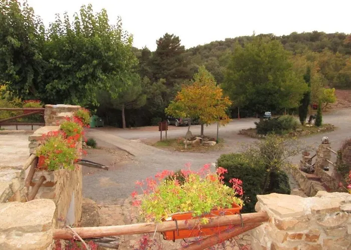 Fausto Cerca De Dinópolis Formiche Alto