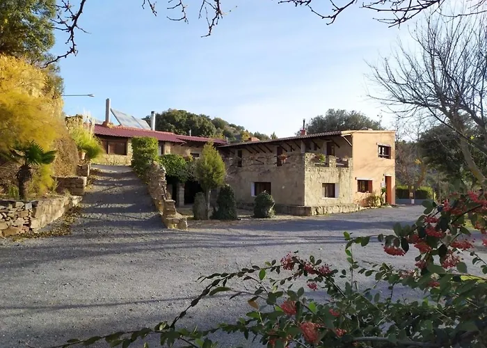 Fausto Cerca De Dinópolis * Formiche Alto